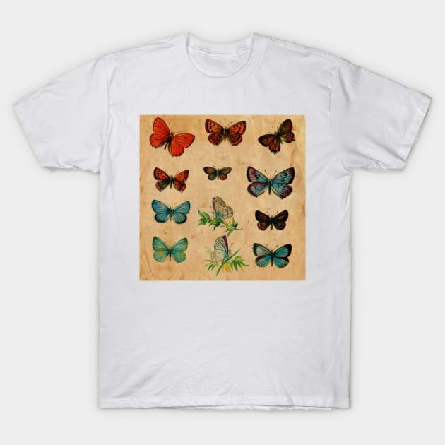 Watercolour Butterflies T-Shirt by My Artsam